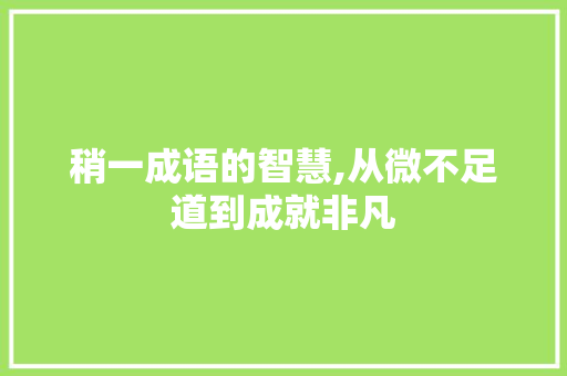 稍一成语的智慧,从微不足道到成就非凡