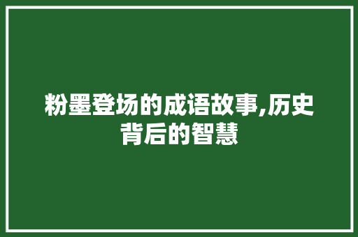 粉墨登场的成语故事,历史背后的智慧