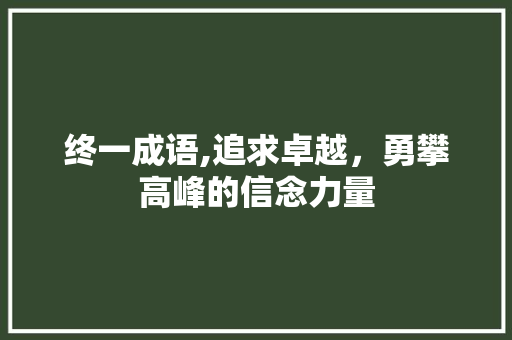 终一成语,追求卓越，勇攀高峰的信念力量