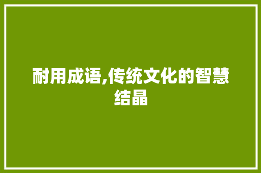 耐用成语,传统文化的智慧结晶 诗词体裁