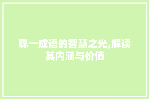 聪一成语的智慧之光,解读其内涵与价值