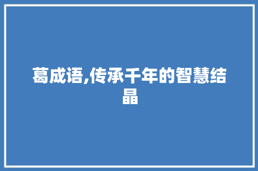 葛成语,传承千年的智慧结晶 诗词体裁