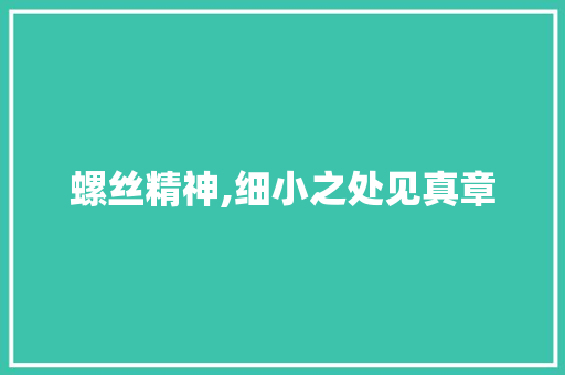 螺丝精神,细小之处见真章