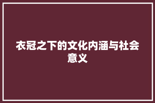 衣冠之下的文化内涵与社会意义 工作总结
