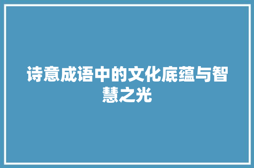 诗意成语中的文化底蕴与智慧之光 会议纪要