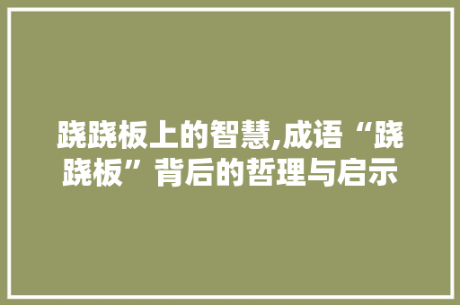 跷跷板上的智慧,成语“跷跷板”背后的哲理与启示