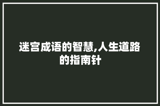 迷宫成语的智慧,人生道路的指南针
