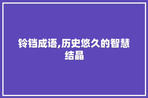 铃铛成语,历史悠久的智慧结晶 工作总结