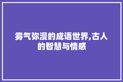 雾气弥漫的成语世界,古人的智慧与情感 会议纪要
