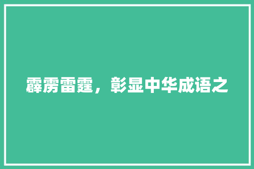 霹雳雷霆，彰显中华成语之 应用文