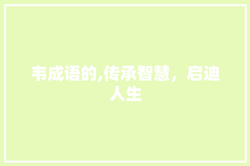 韦成语的,传承智慧，启迪人生