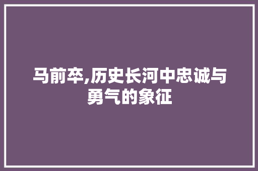 马前卒,历史长河中忠诚与勇气的象征 职场写作