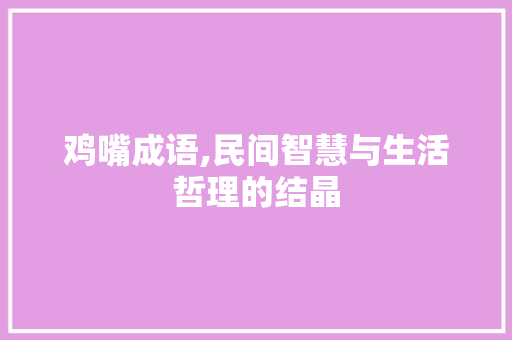 鸡嘴成语,民间智慧与生活哲理的结晶 职场写作
