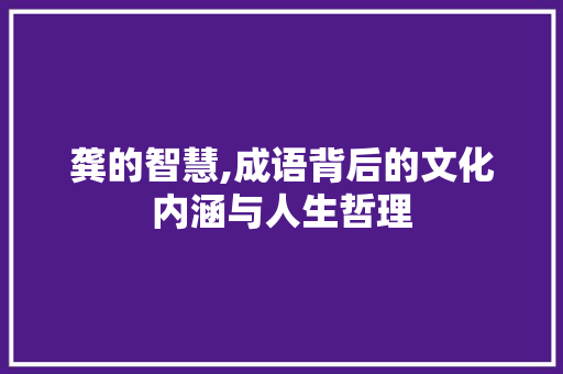 龚的智慧,成语背后的文化内涵与人生哲理