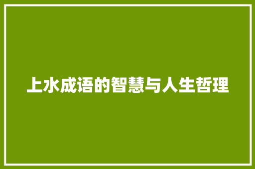 上水成语的智慧与人生哲理