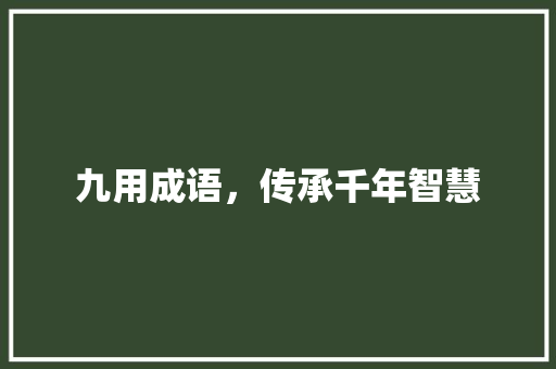 九用成语，传承千年智慧 项目报告