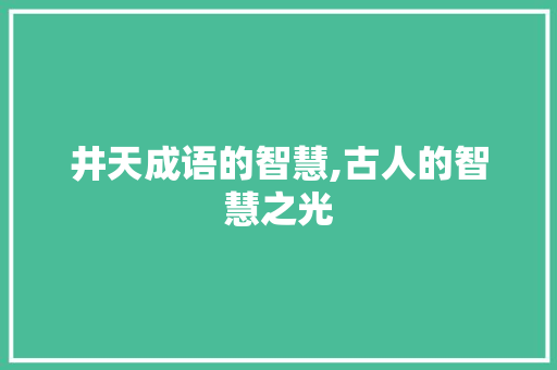 井天成语的智慧,古人的智慧之光 会议纪要