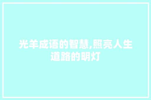 光羊成语的智慧,照亮人生道路的明灯