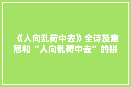 《人向乱荷中去》全诗及意思和“人向乱荷中去”的拼音注释
