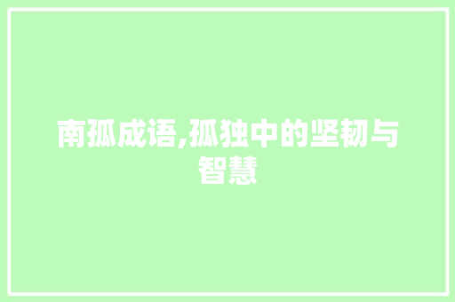 南孤成语,孤独中的坚韧与智慧