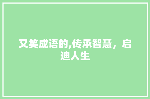 又笑成语的,传承智慧，启迪人生