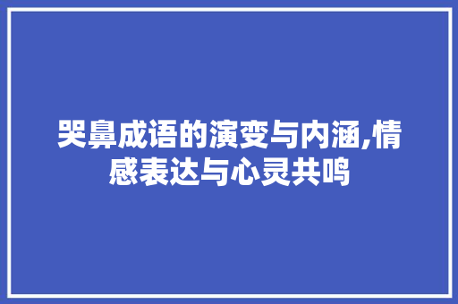 哭鼻成语的演变与内涵,情感表达与心灵共鸣