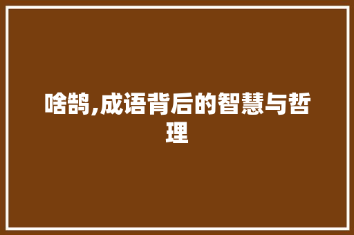 啥鹄,成语背后的智慧与哲理