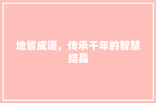 地皆成语，传承千年的智慧结晶
