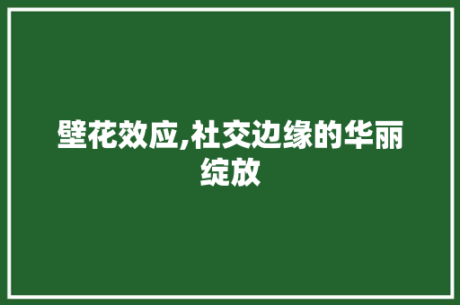 壁花效应,社交边缘的华丽绽放