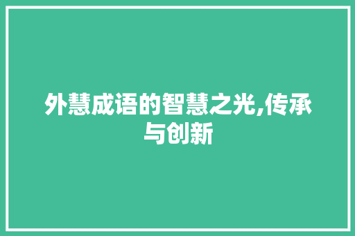 外慧成语的智慧之光,传承与创新