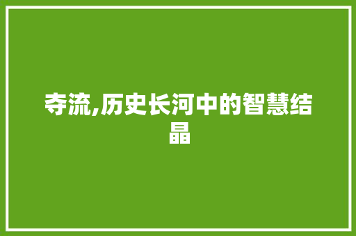 夺流,历史长河中的智慧结晶