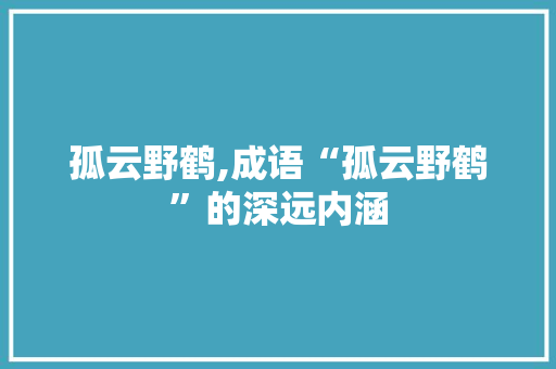 孤云野鹤,成语“孤云野鹤”的深远内涵