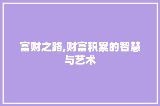 富财之路,财富积累的智慧与艺术 项目报告