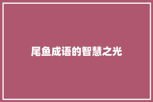 尾鱼成语的智慧之光 项目报告