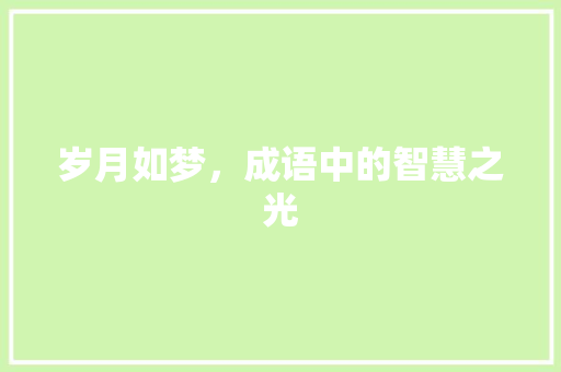 岁月如梦，成语中的智慧之光