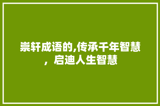 崇轩成语的,传承千年智慧，启迪人生智慧