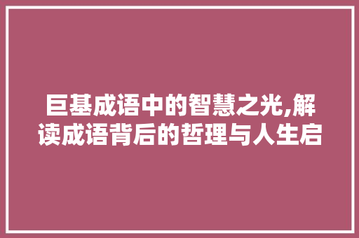 巨基成语中的智慧之光,解读成语背后的哲理与人生启示 会议纪要
