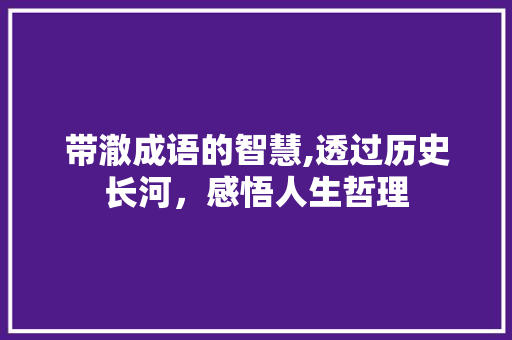 带澈成语的智慧,透过历史长河，感悟人生哲理 工作总结