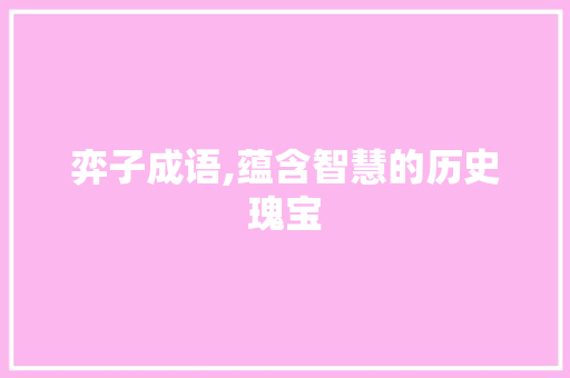 弈子成语,蕴含智慧的历史瑰宝 项目报告