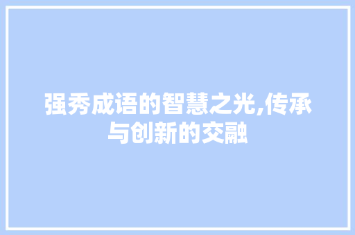 强秀成语的智慧之光,传承与创新的交融 会议纪要
