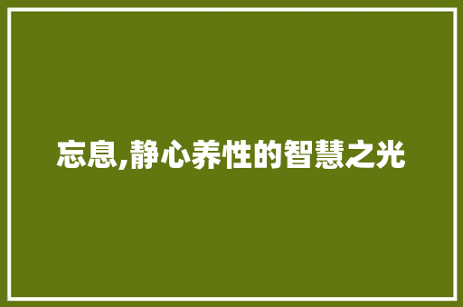 忘息,静心养性的智慧之光