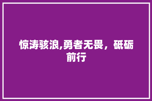 惊涛骇浪,勇者无畏，砥砺前行