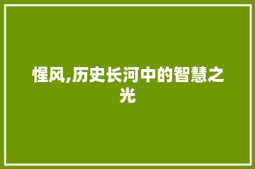 惺风,历史长河中的智慧之光