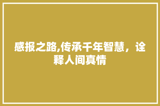 感报之路,传承千年智慧，诠释人间真情