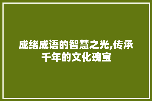 成绪成语的智慧之光,传承千年的文化瑰宝 诗词应用