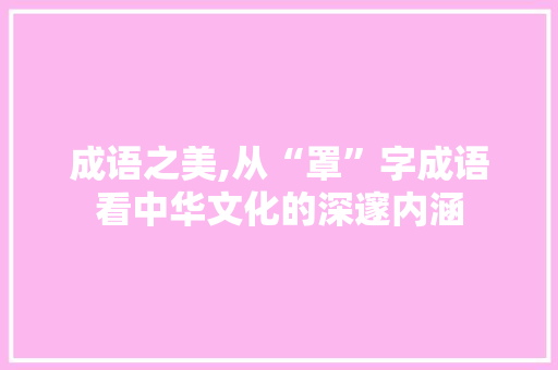 成语之美,从“罩”字成语看中华文化的深邃内涵