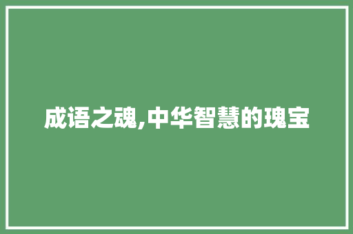 成语之魂,中华智慧的瑰宝 工作总结