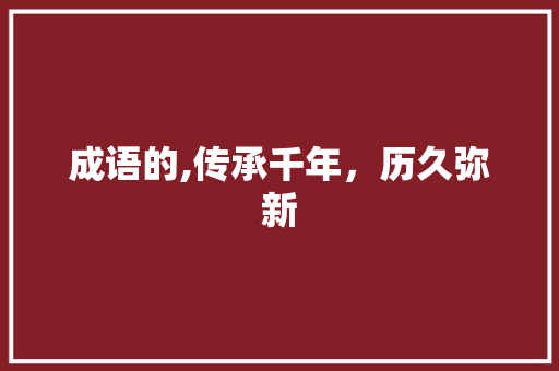 成语的,传承千年，历久弥新