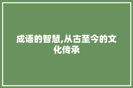 成语的智慧,从古至今的文化传承