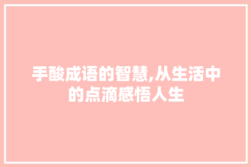 手酸成语的智慧,从生活中的点滴感悟人生